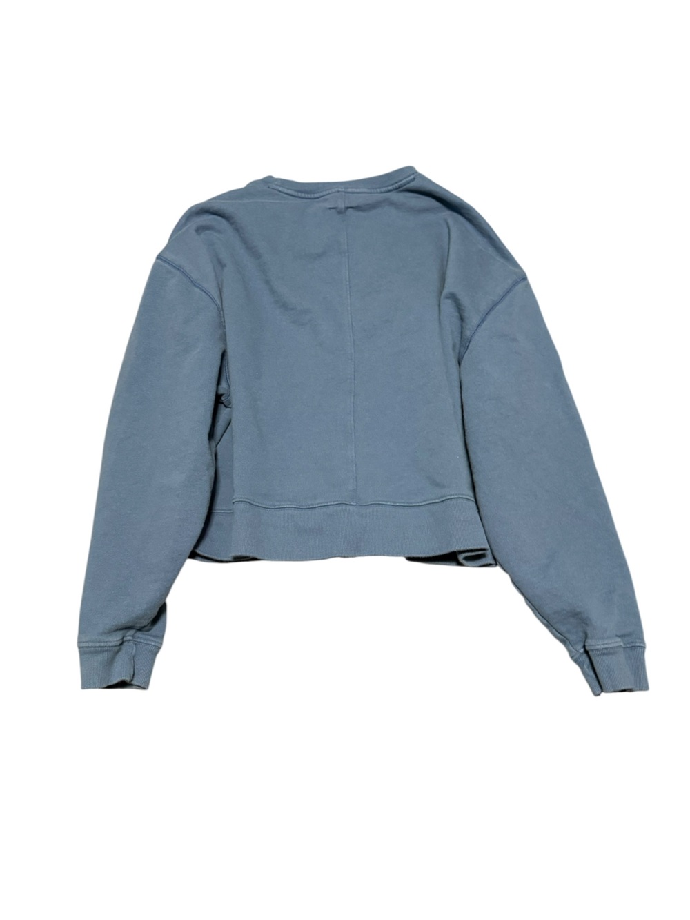 Anthropologie Maeve Best In Show Golden Retriever Dog Graphic Sweatshirt Blue XS - Picture 3 of 6